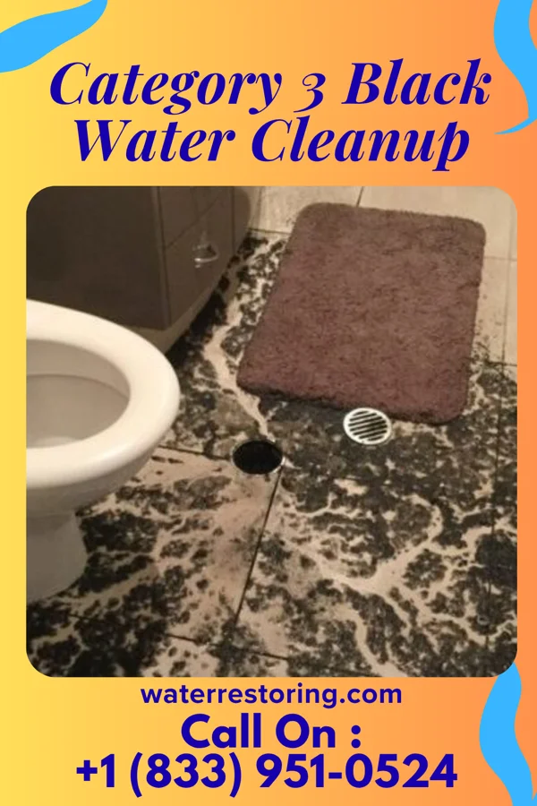 Category 3 Black Water Cleanup in Leith-Hatfield, PA